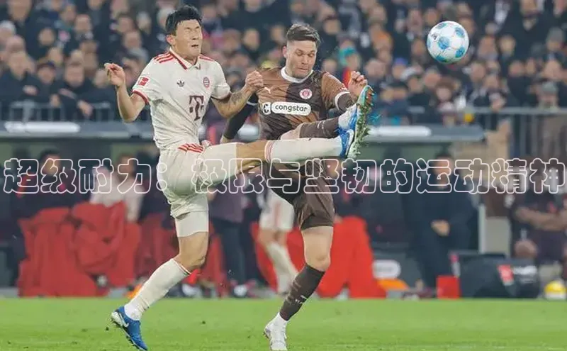 杏悦2平台登录